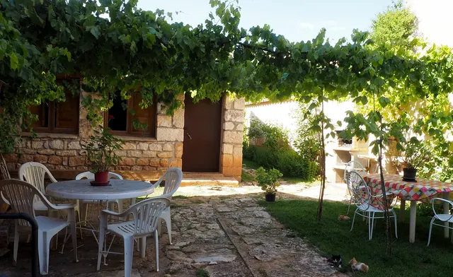 Mesa del jardín a la sombra de la parra